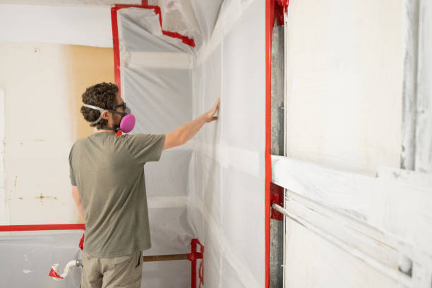 Best Emergency Mold Remediation  in Hobbs, NM