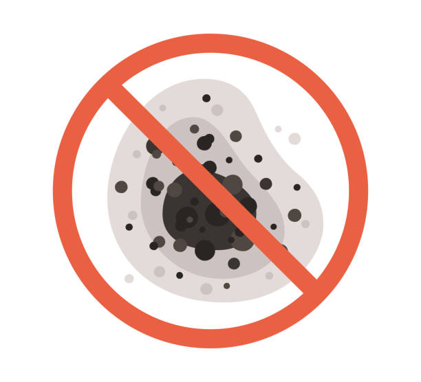 Best Mold Damage Restoration  in Hobbs, NM