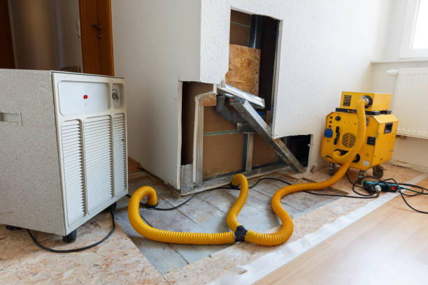Dehumidification Services in Hobbs, NM