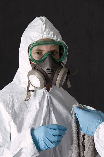 Best Post-Construction Mold Inspection  in Hobbs, NM
